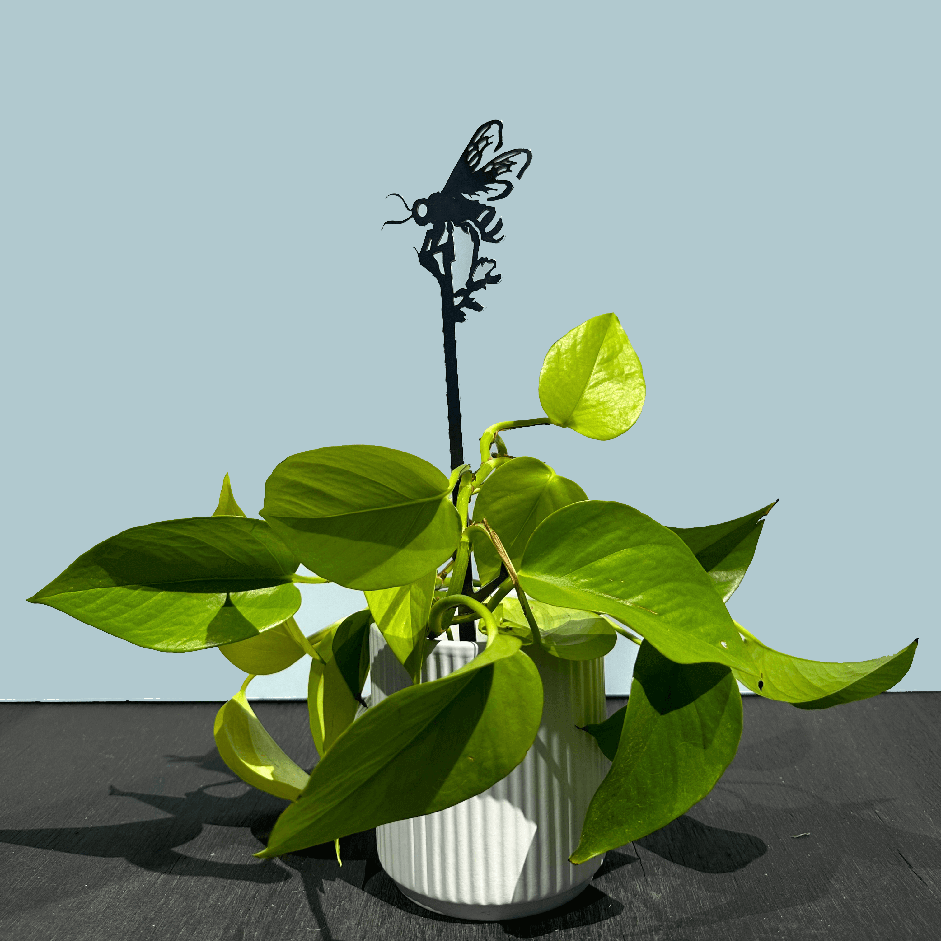 honey bee plant pot Metalbird Seconds - Honey Bee Single Plant Stake