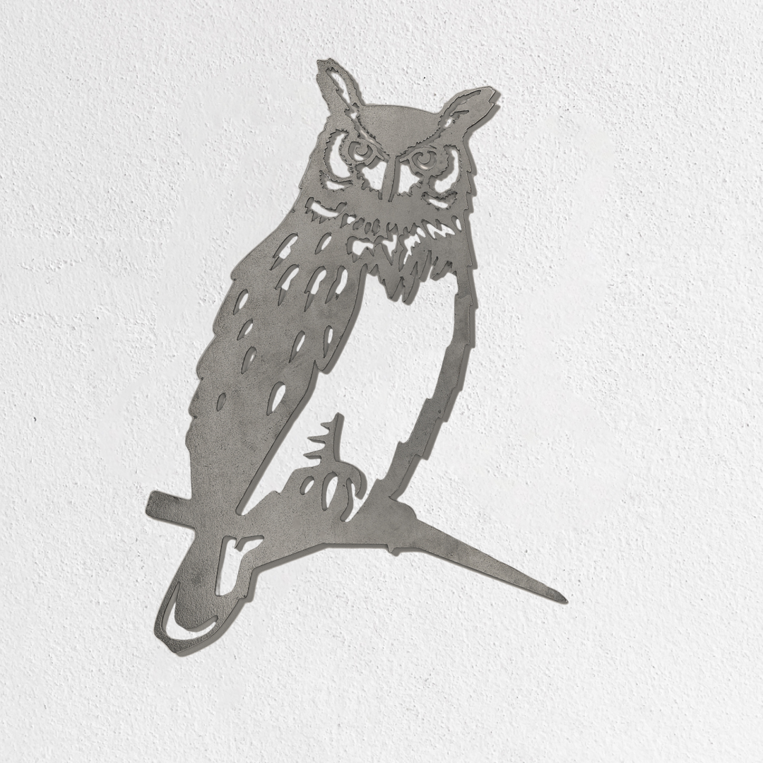 Great Horned Owl - Second