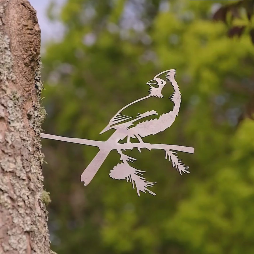 Raw Corten steel cardinal sculpture on a pine branch, freshly installed on a tree, ideal as outdoor garden art or memorial decor.