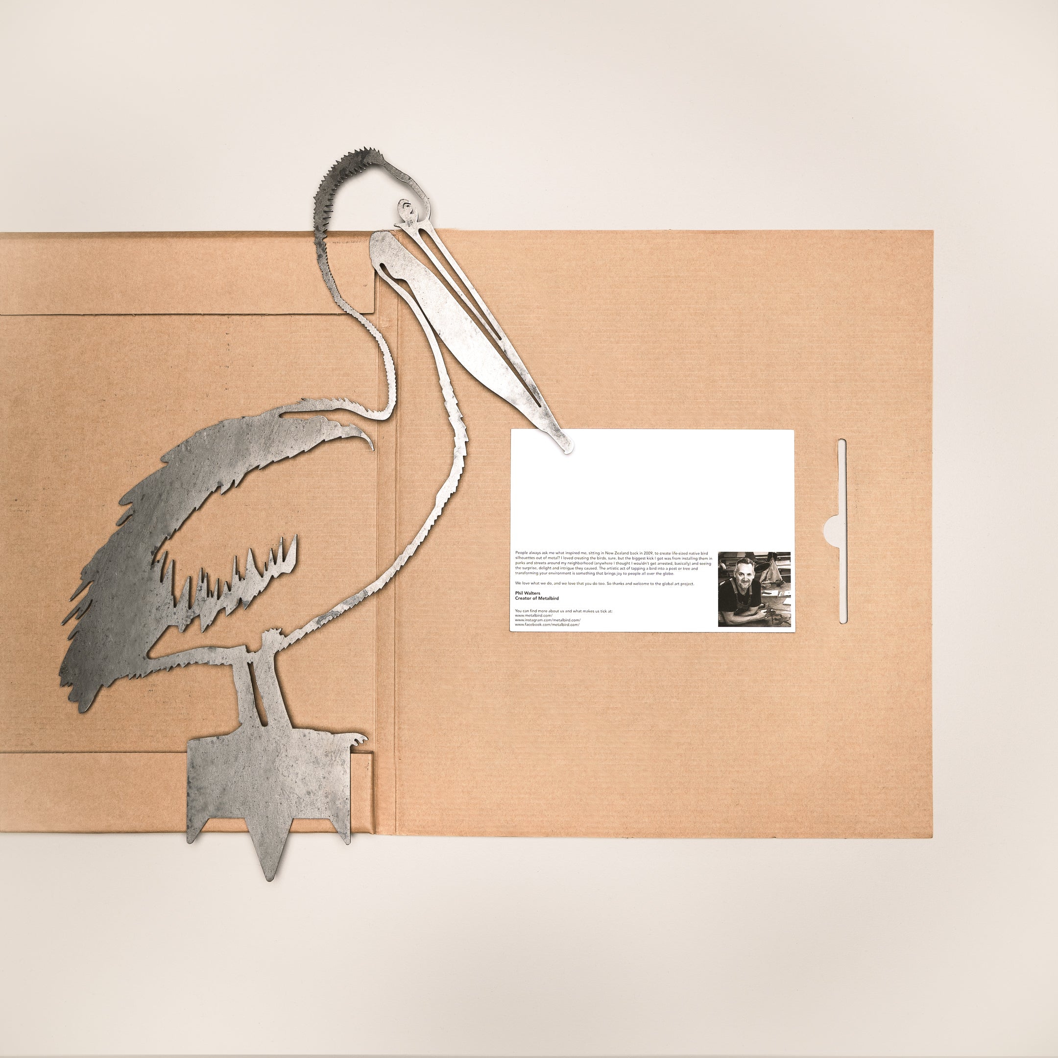 Pelican