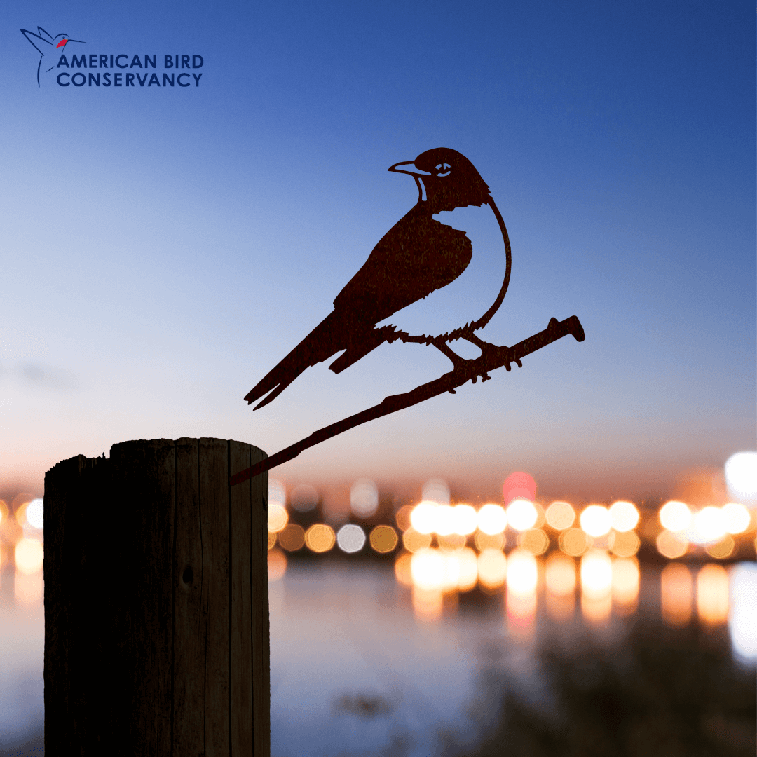 An American Robin metal silhouette perches on a wooden post at dusk, creating unique yard art against city lights and a blurred water background. The American Bird Conservancy logo appears in the top left corner.