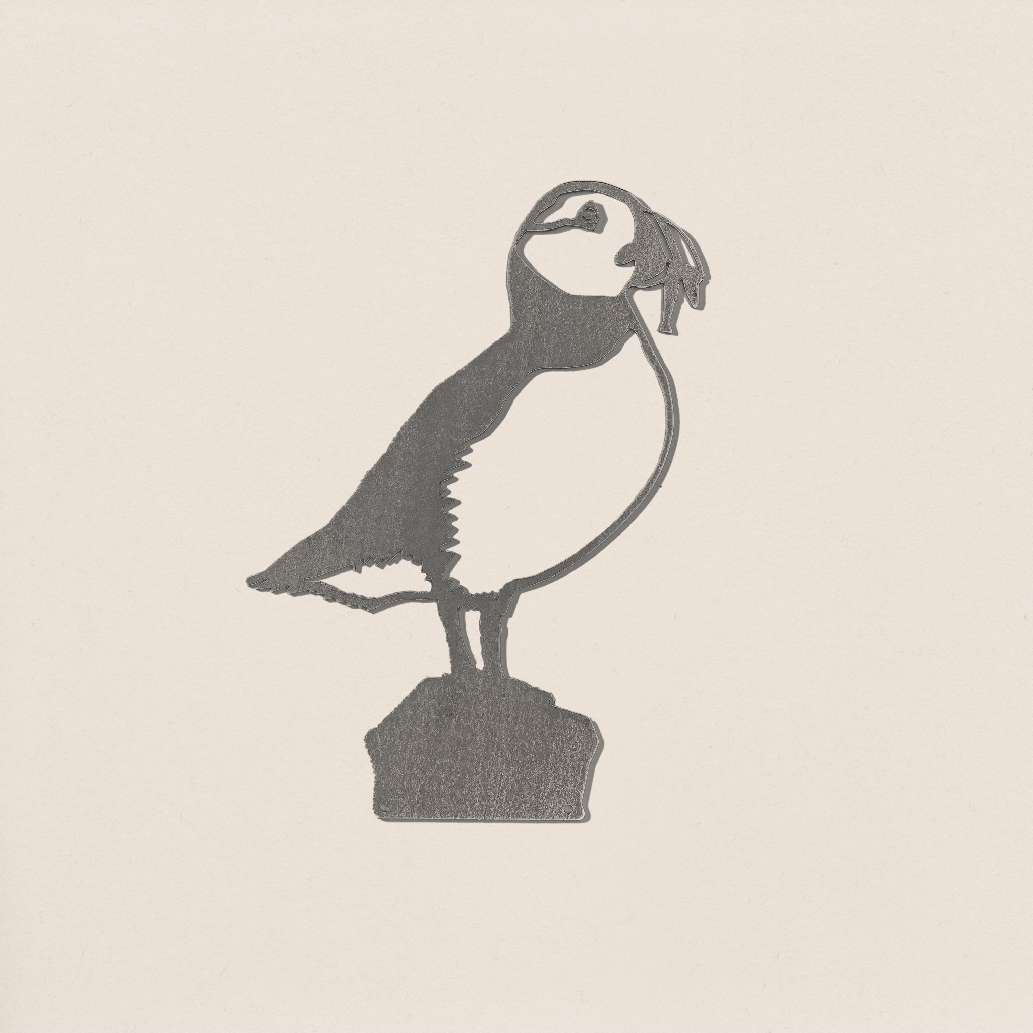 Puffin