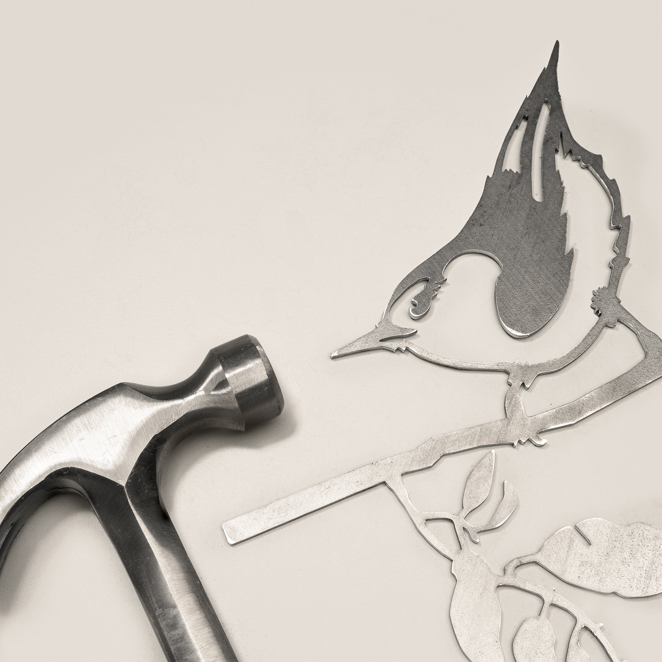 Nuthatch