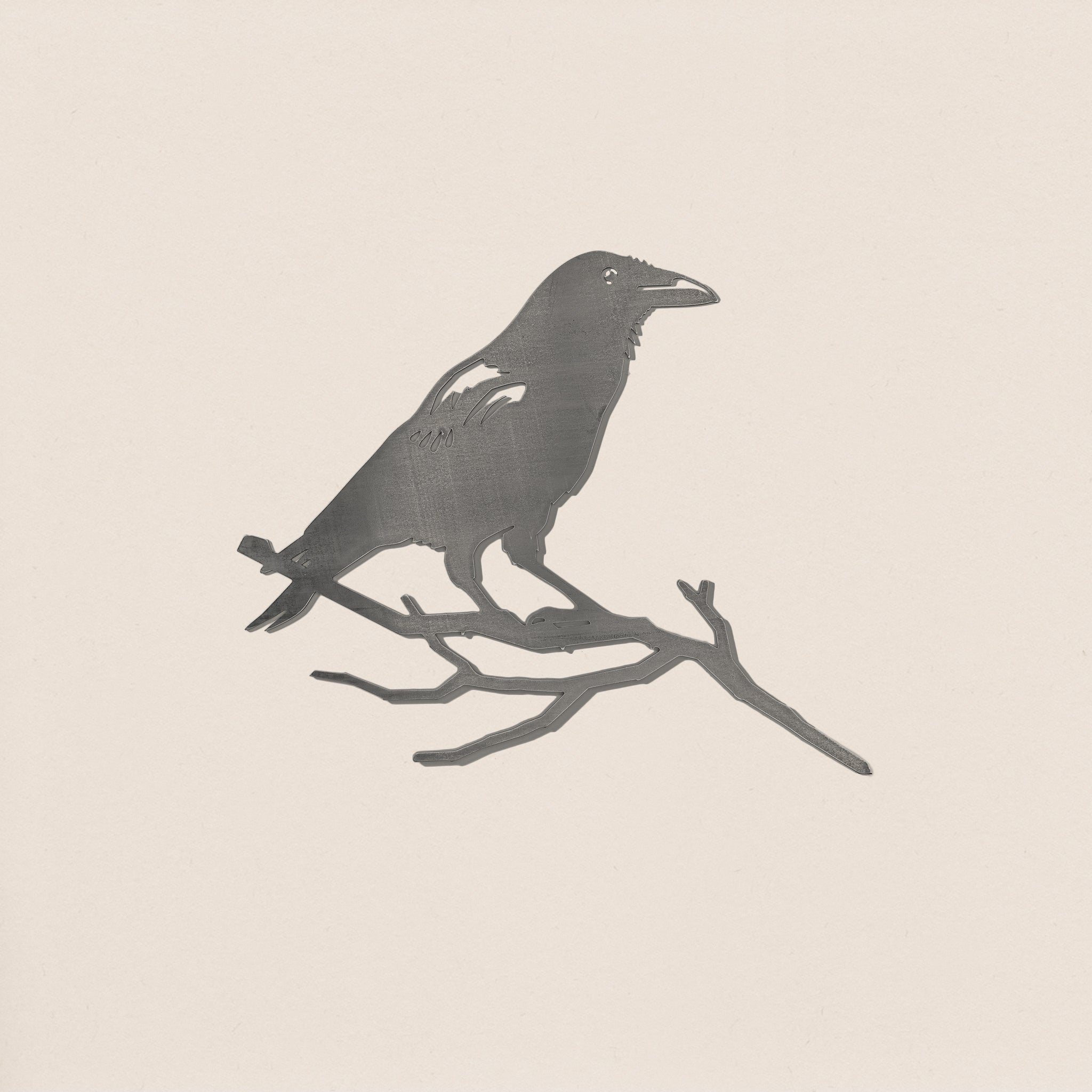 Crow