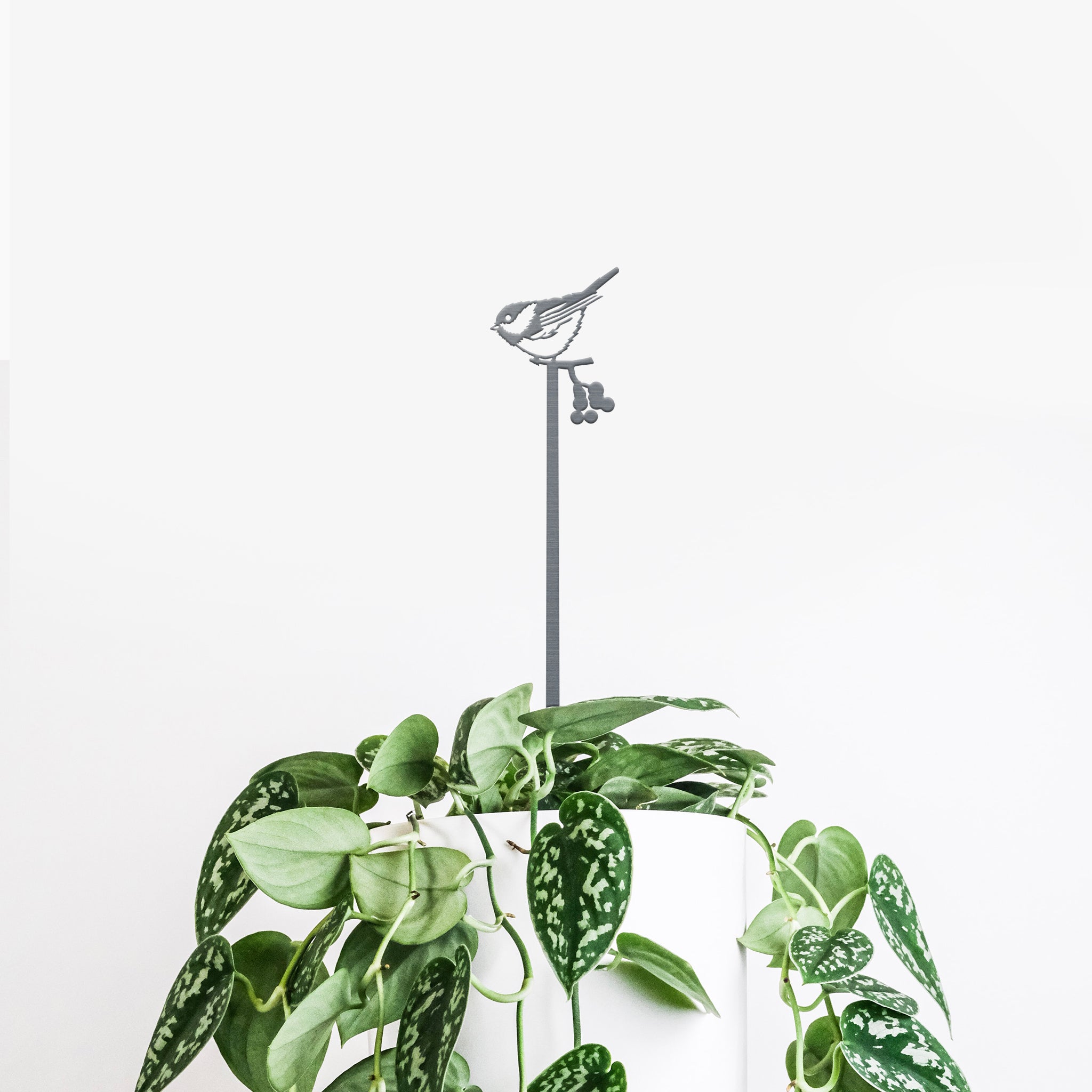 Pair of Plant Stakes