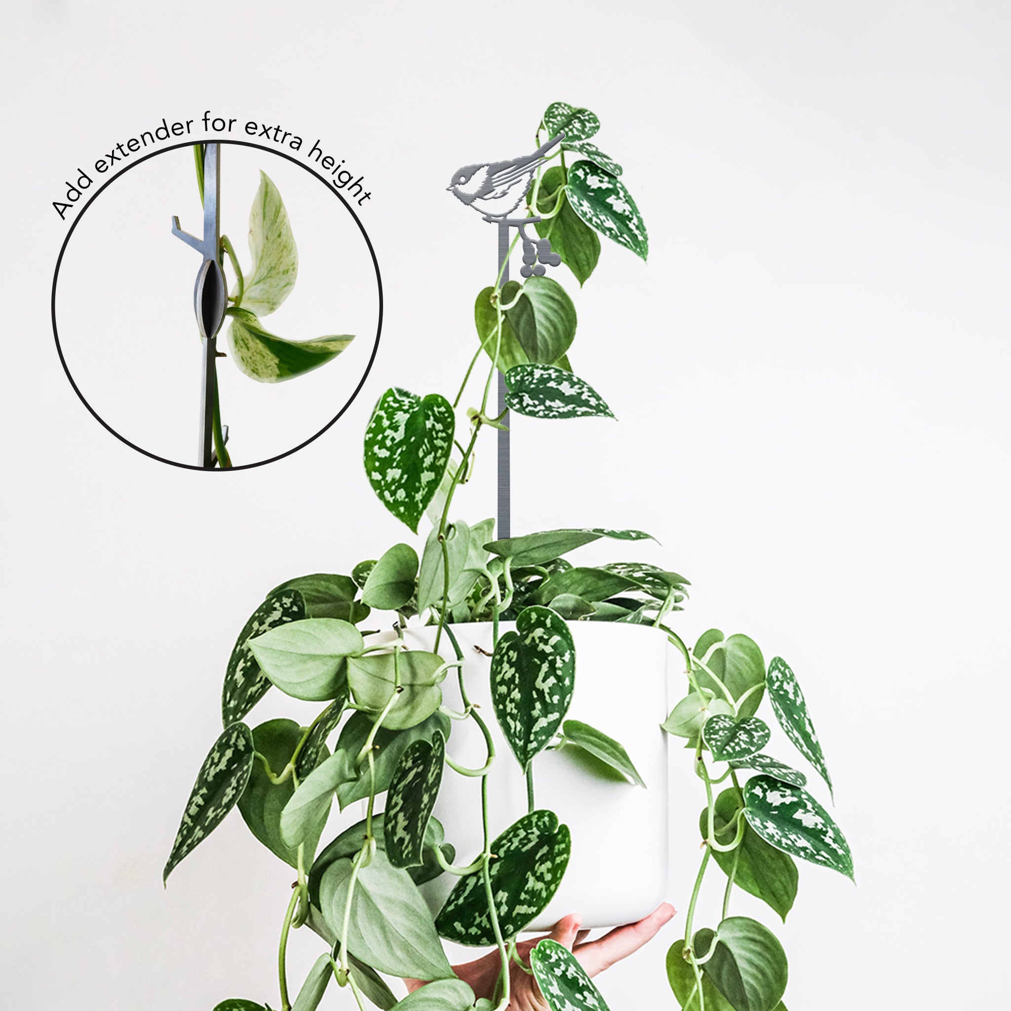 Pair of Plant Stakes
