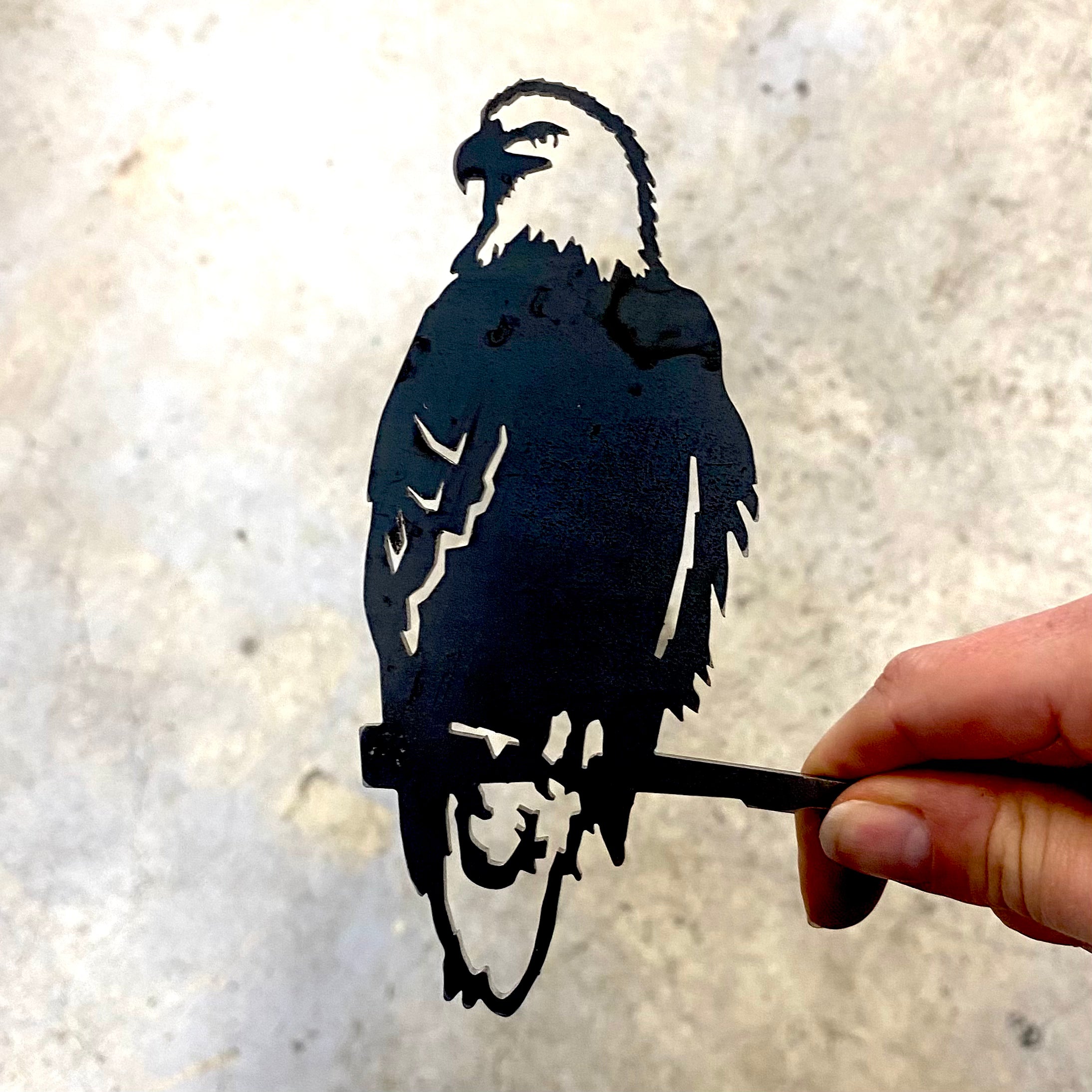 Mini Eagle