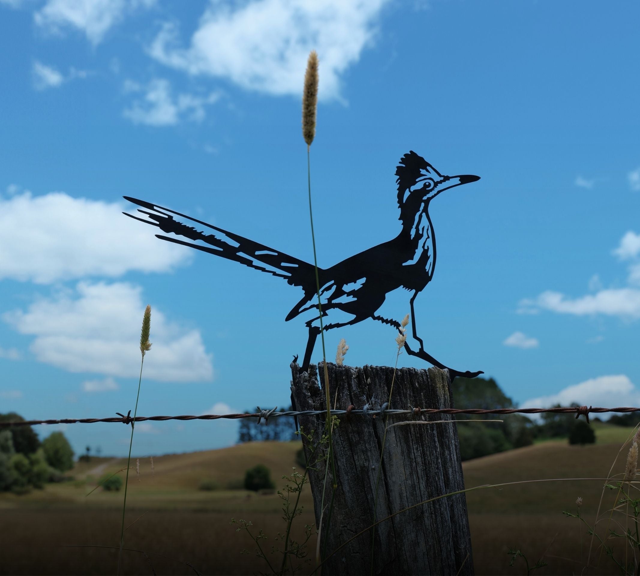 Ground Birds