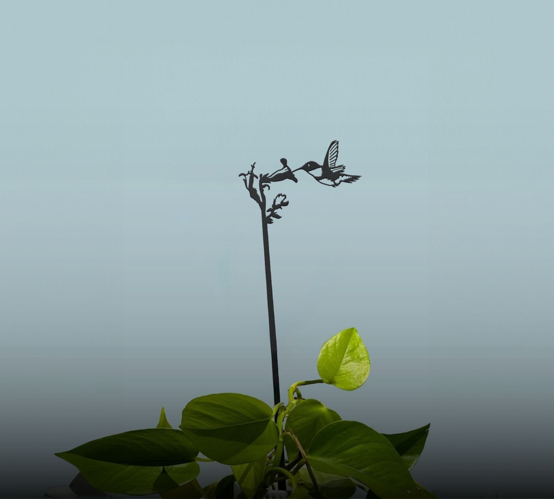 PLANT STAKES