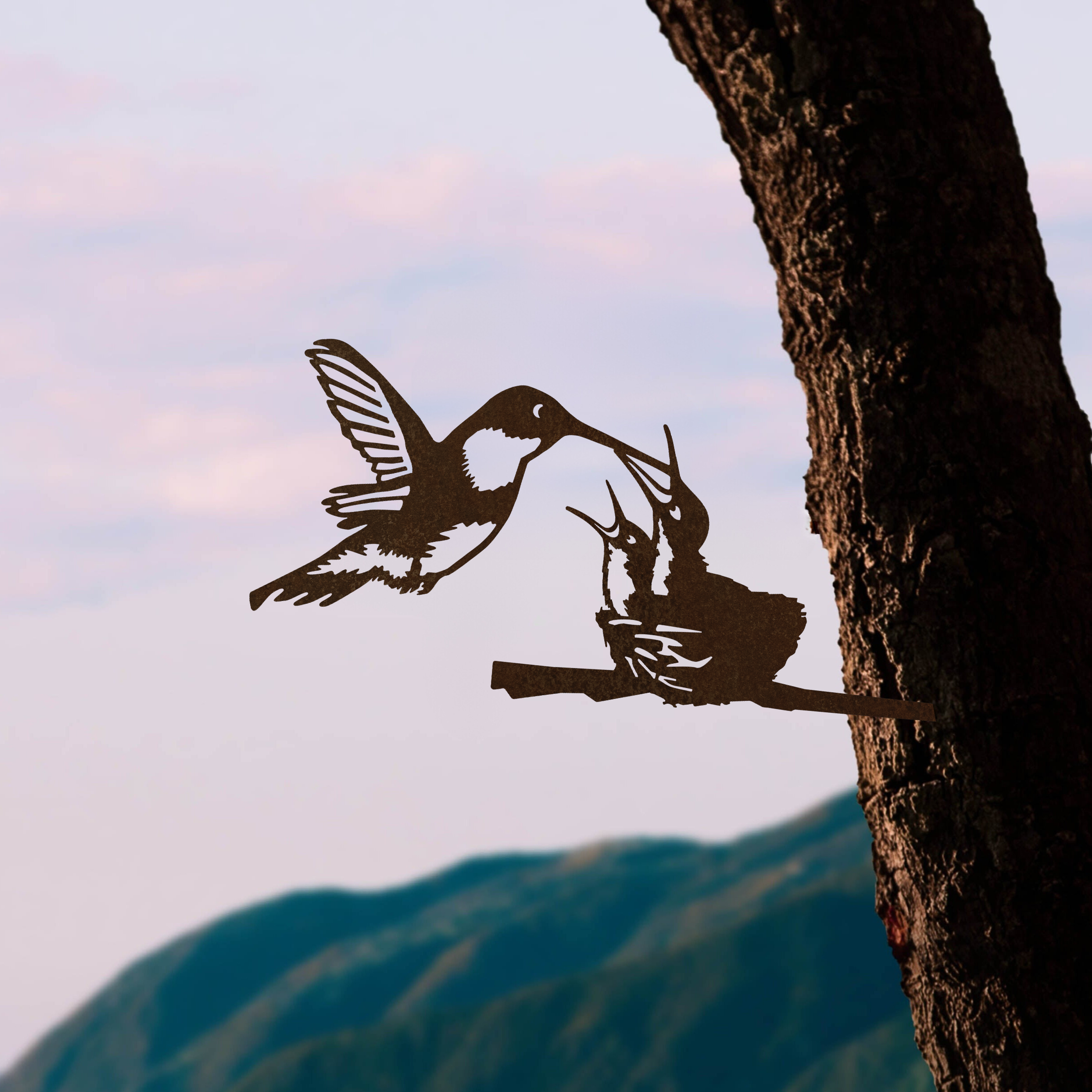 Hummingbird & Chicks