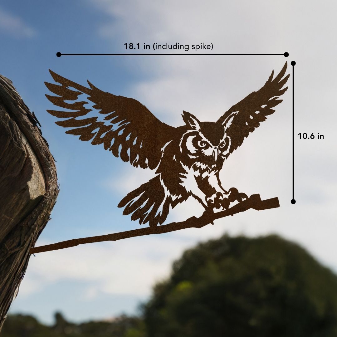 OWL-MIGHTY TAKEOFF