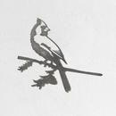Metalbird Seconds - Cardinal: A sleek black and white illustration of a cardinal on a pine branch, set against a textured white background—ideal for striking metal wall art or as a premium gift.