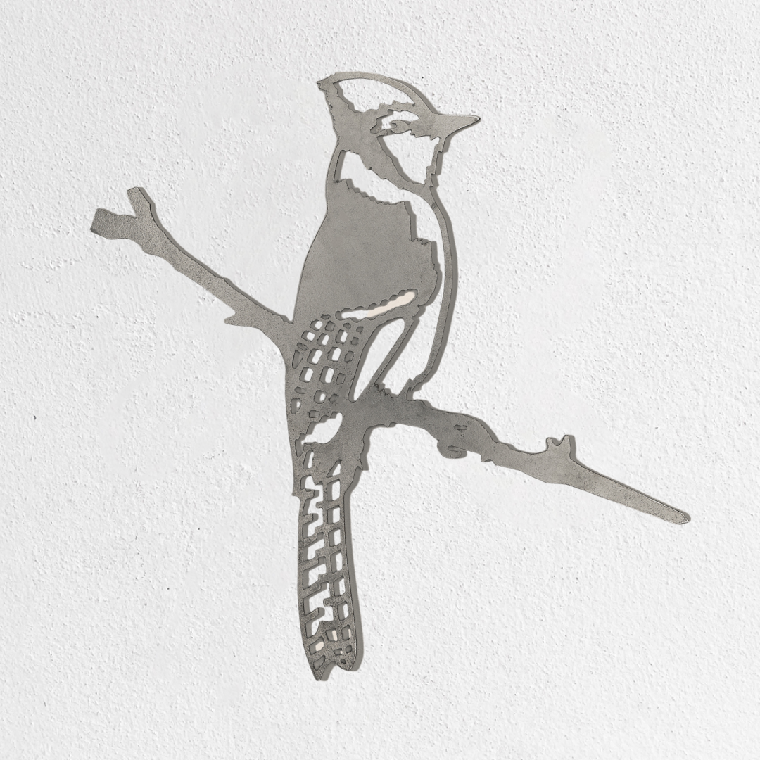 Blue Jay - Second