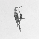 Woodpecker - Second
