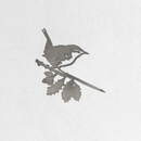Wren - Second