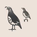 The Quail Mom & Mini Set features two black Corten steel California Quail cutouts—one large, one small—each with crests and detailed feathers, displayed on a light beige background. A unique Mother’s Day gift idea.
