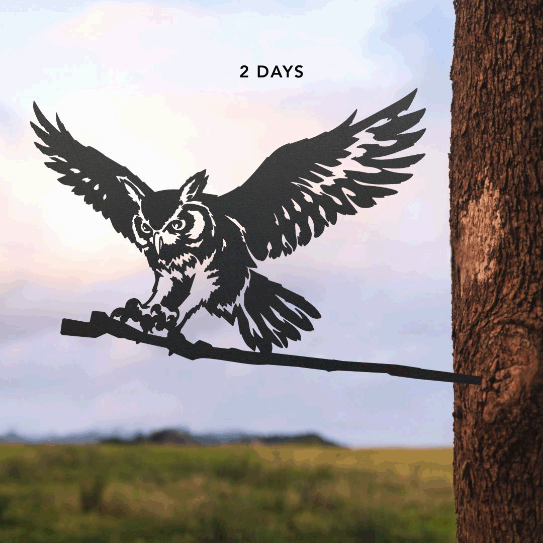 OWL-MIGHTY TAKEOFF