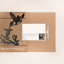 Hummingbird in gift box presentation black finish packaging and brand card visible.