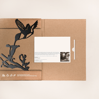 Hummingbird in gift box presentation black finish packaging and brand card visible.
