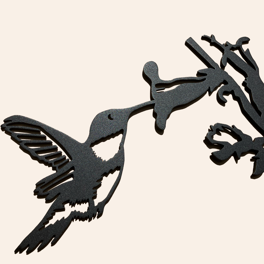 Hummingbird Black