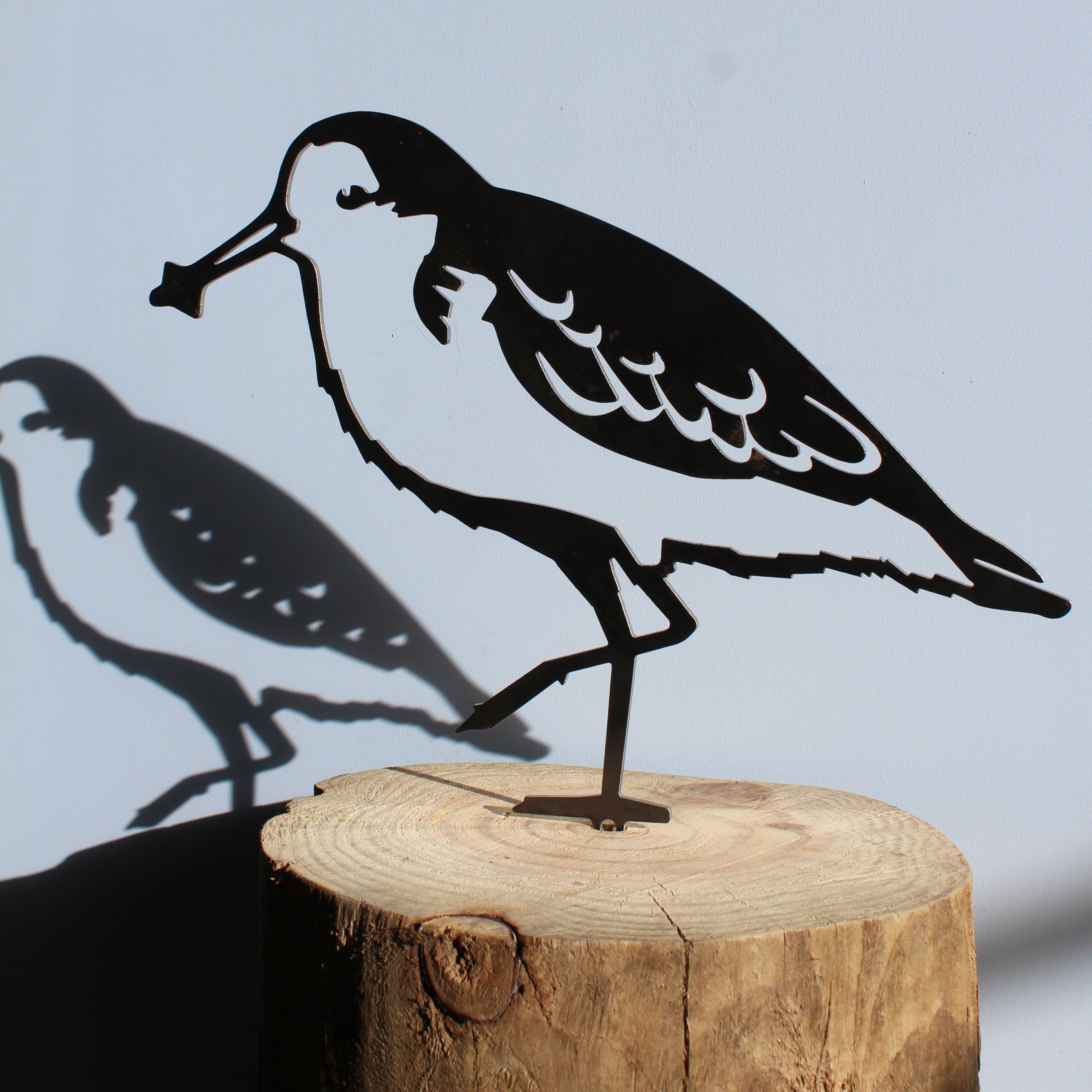 Spoon-Billed Sandpiper