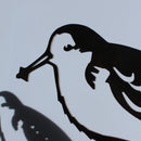 Spoon-Billed Sandpiper