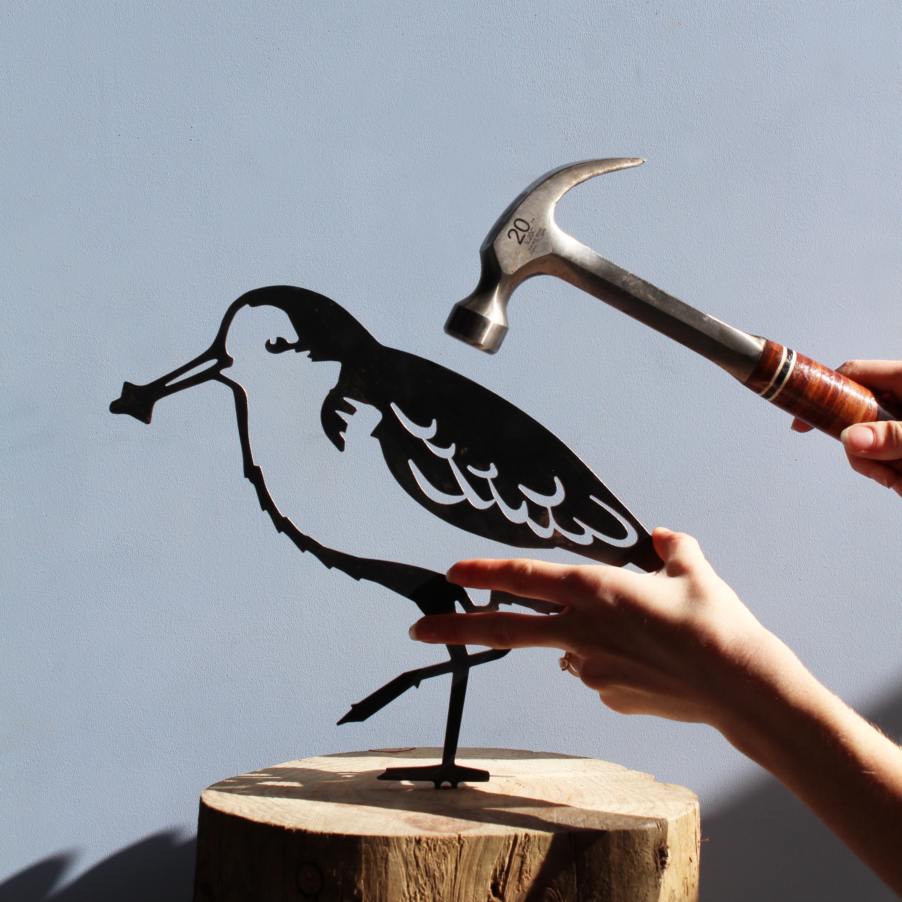 Spoon-Billed Sandpiper