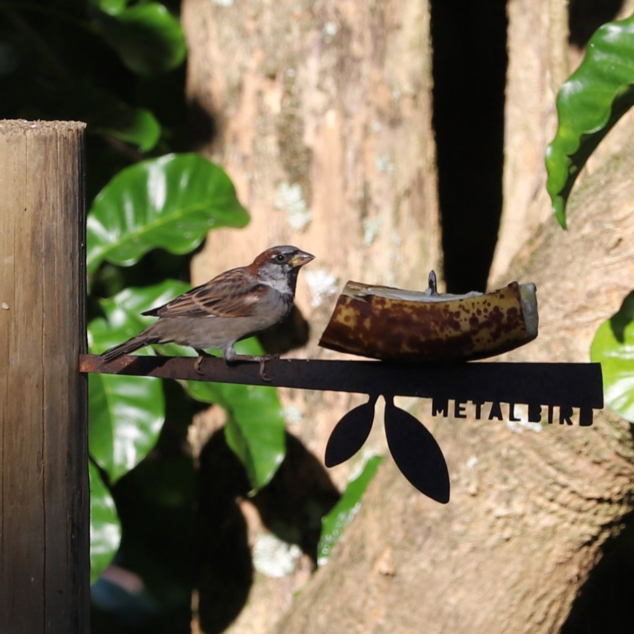 Stick Bird Feeder