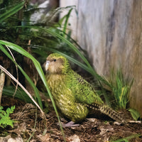 Kākāpō