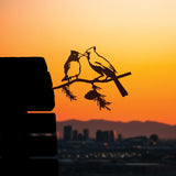 Kissing Cardinals