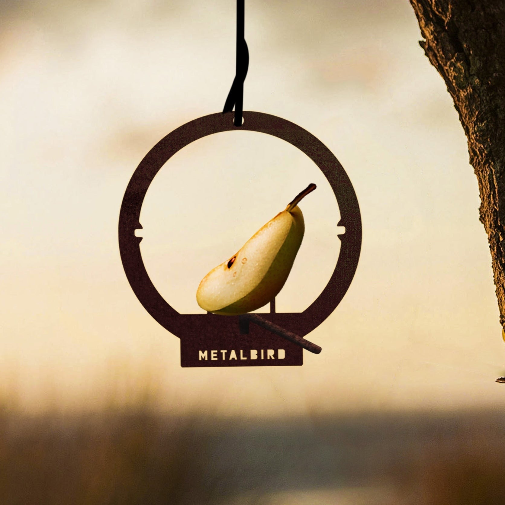 Hanging Bird Feeder - Metalbird USA