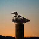The Common Loon is a metal silhouette of this iconic Ontario bird with a chick, crafted from Corten steel and mounted on wood. Set against an orange and blue sunset, it captures the beauty of the species in a unique decorative piece.