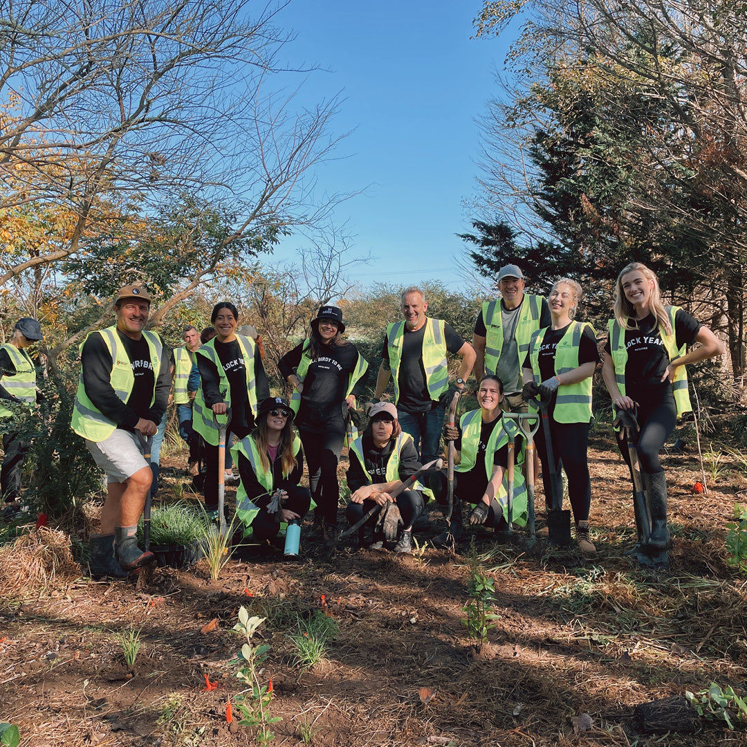 MB Team Tree Planting