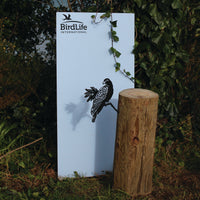 A Manumea sign featuring the BirdLife International logo and a black bird illustration stands outdoors amid greenery beside a wooden log pedestal, with a vine draped over it.