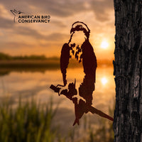 A metal silhouette of an Osprey perches on a branch attached to a tree trunk, with a lake and sunset in the background. The American Bird Conservancy logo, promoting bird conservation, is displayed in the upper left corner.