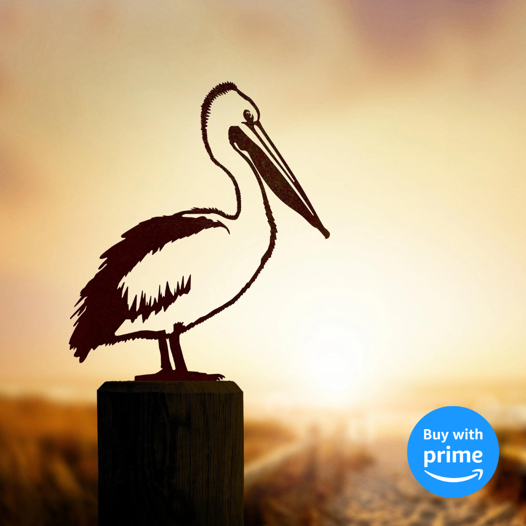 Pelican