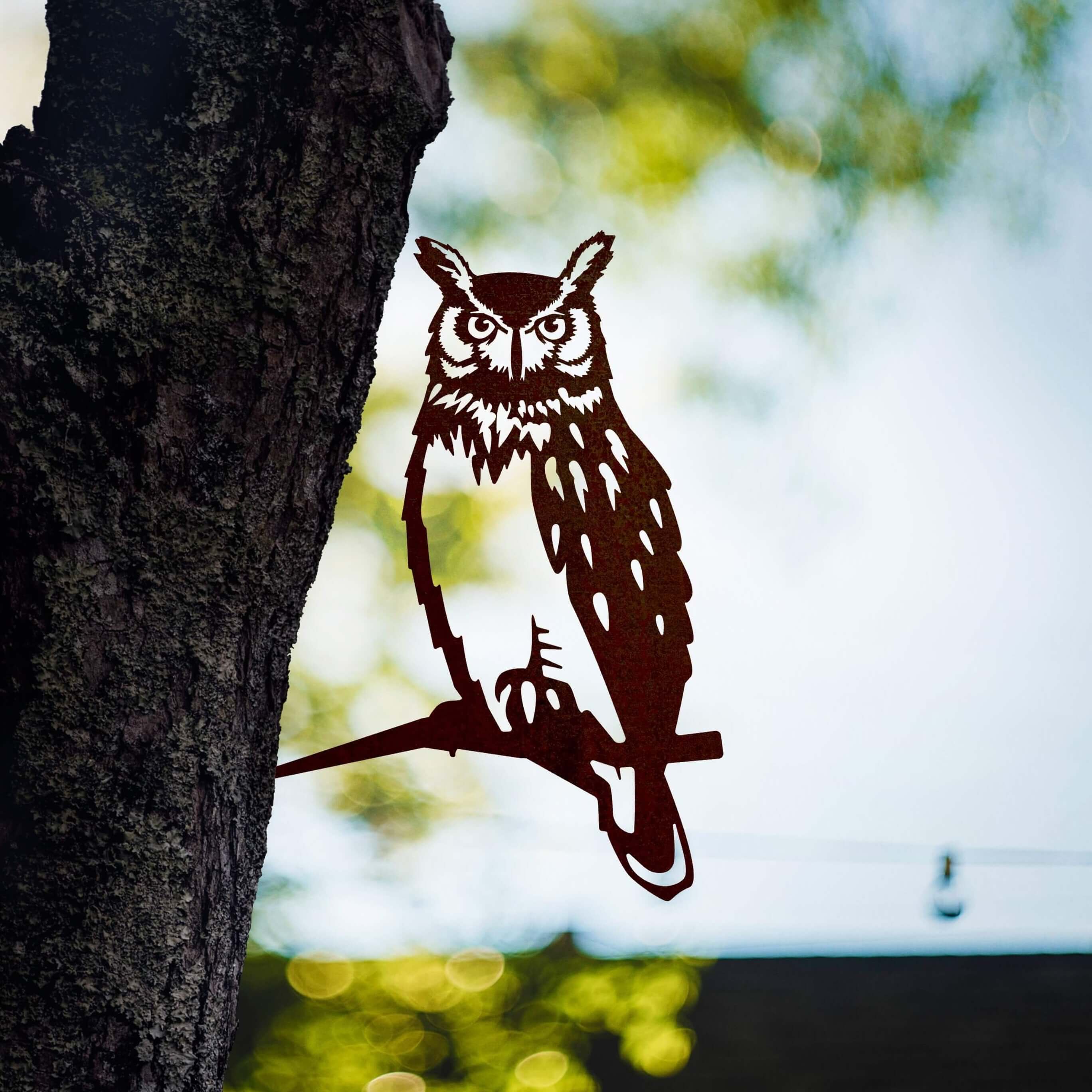 Great Horned Owl