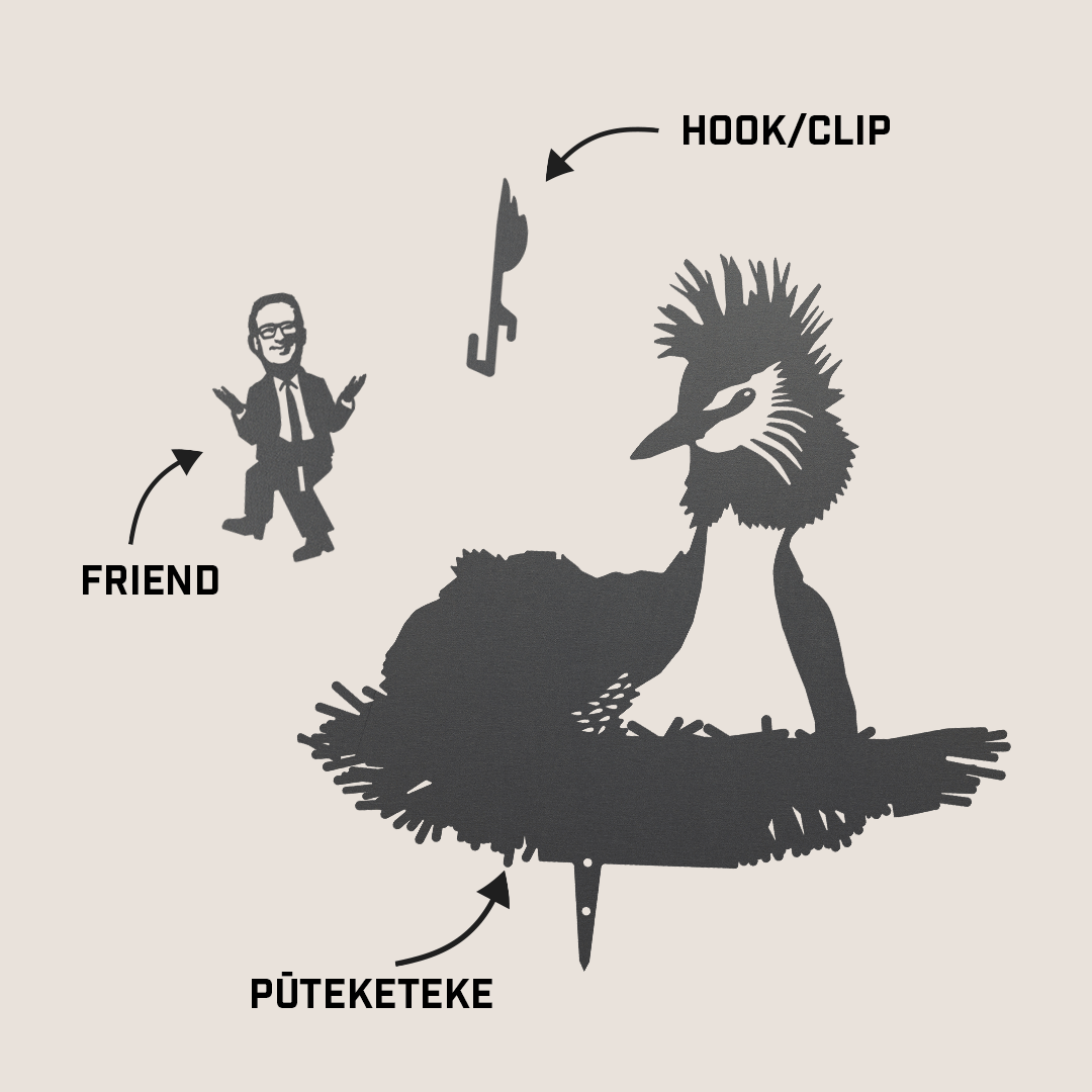 Pūteketeke / Crested Grebe