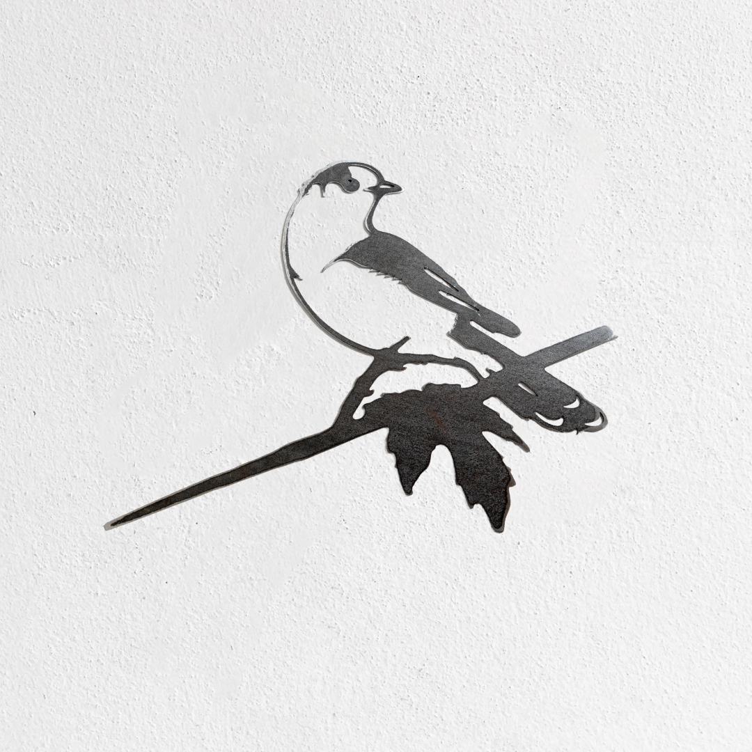 Metalbird Seconds - Canada Jay: A minimalist black metal silhouette of a Canada Jay on a branch with two leaves. Mounted on a white textured wall. Part of our seconds collection and may have minor cosmetic flaws.