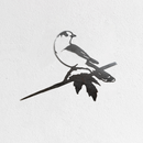 Metalbird Seconds - Canada Jay: A minimalist black metal silhouette of a Canada Jay on a branch with two leaves. Mounted on a white textured wall. Part of our seconds collection and may have minor cosmetic flaws.