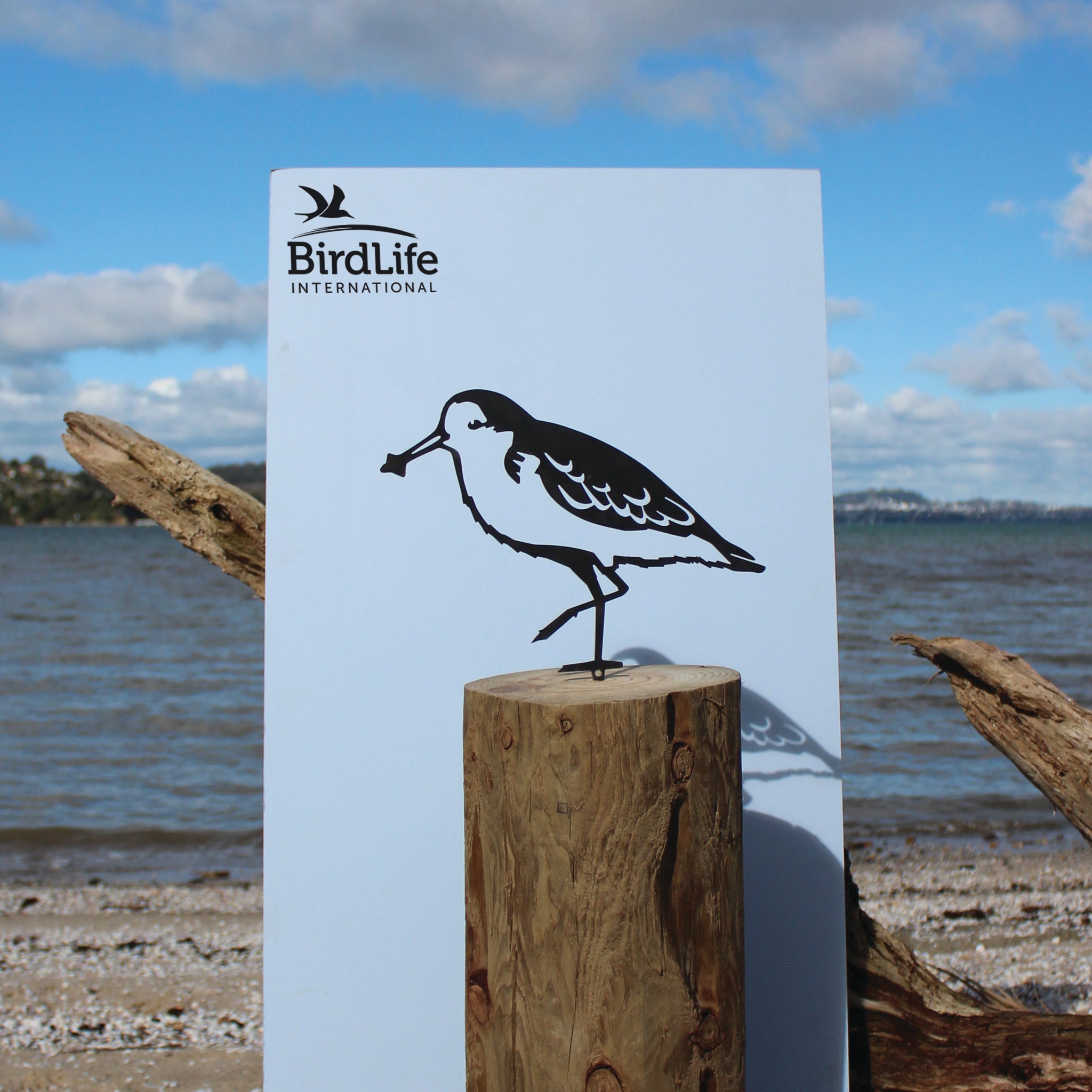 Spoon-Billed Sandpiper