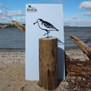 Spoon-Billed Sandpiper