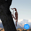 Woodpecker