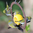 Hanging Bird Feeder
