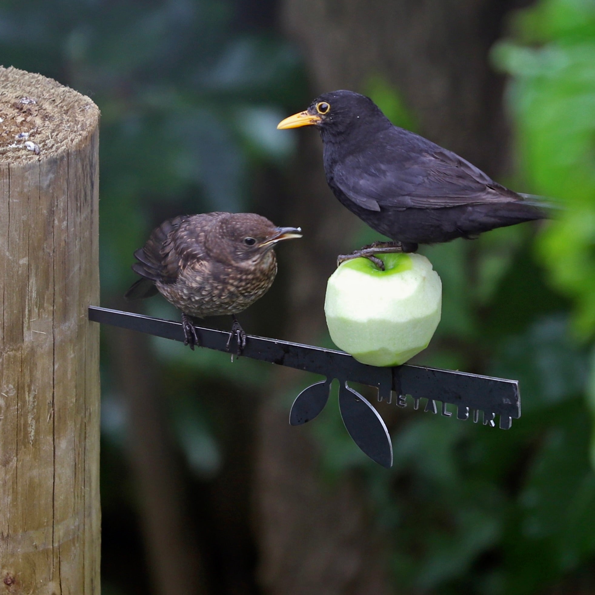 Stick Bird Feeder