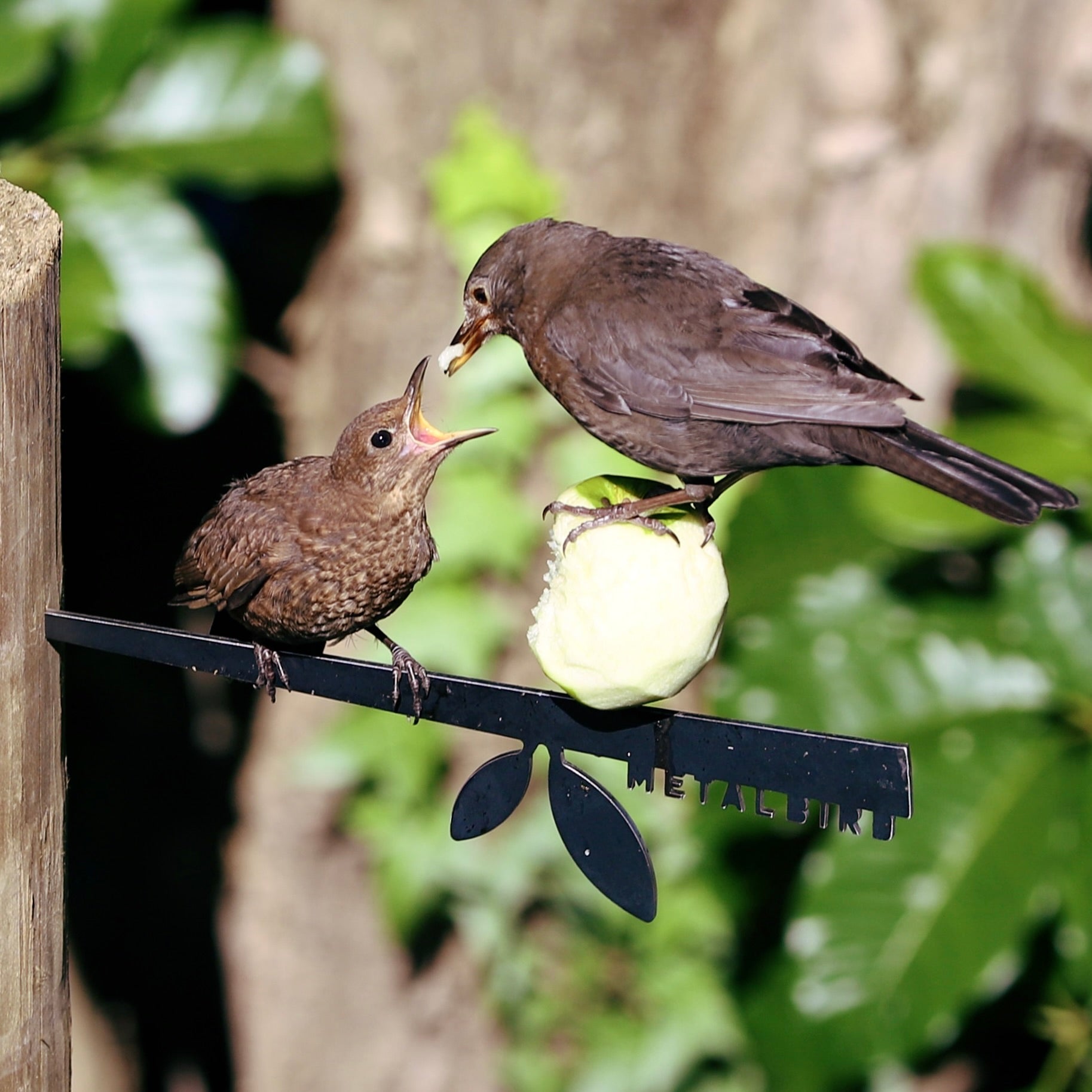 Stick Bird Feeder