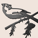 The Cardinal Black features a powder-coated black metal cardinal silhouette perched on a pine branch with needles, set against a light beige background.