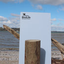 Spoon-Billed Sandpiper