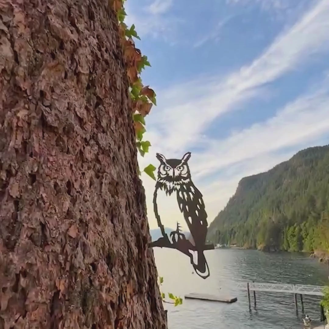 Great Horned Owl
