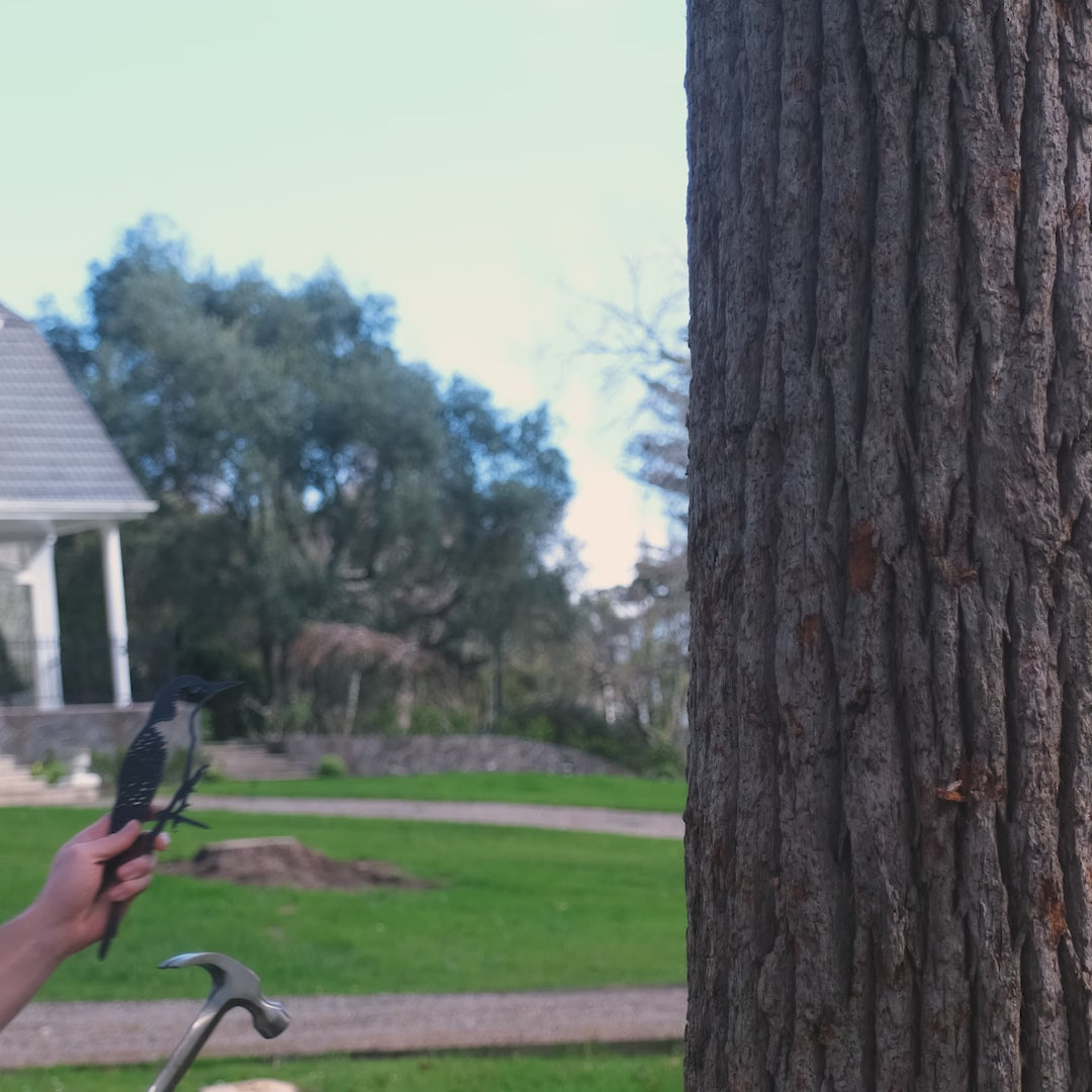Woodpecker